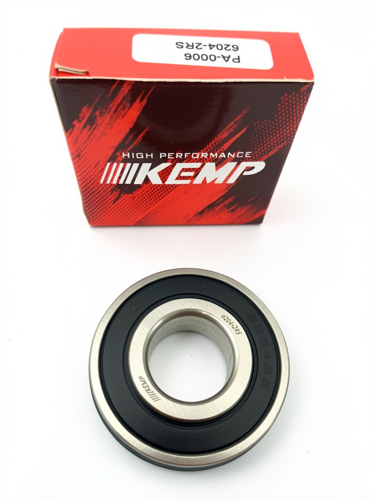 BALINERA 6204-2RS