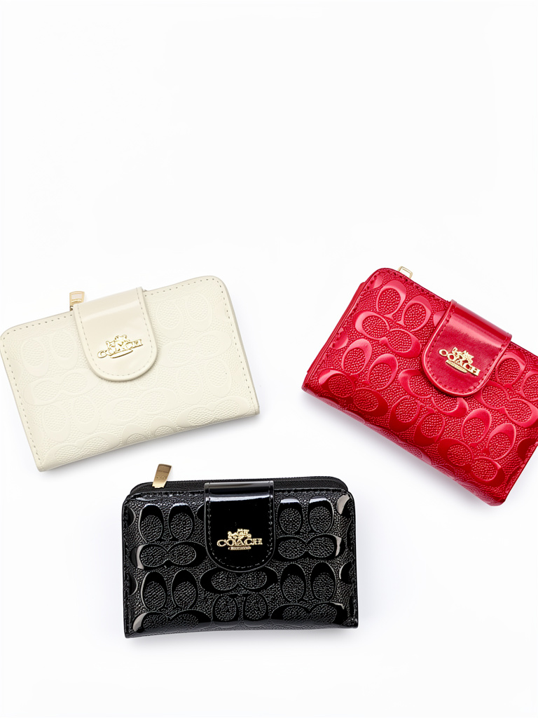 Billetera coach 035