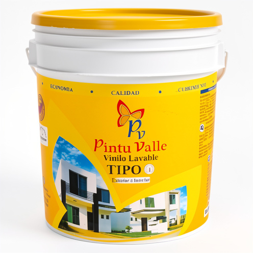 PINTURA BALDE Tp1