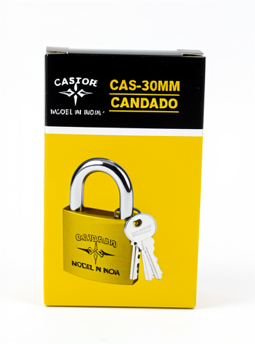 Candado #30