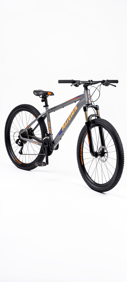 Bicicleta #29 Raleigh aluminio gris