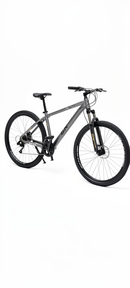Bicicleta #29 Galleven aluminio gris