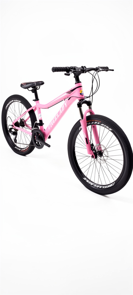 Bicicleta 24 freelady rosa