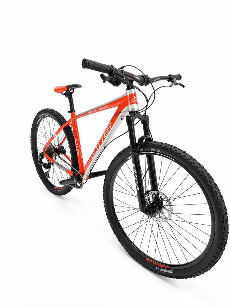 BICI DR: 29 MTB GOTTER MONOPLATO