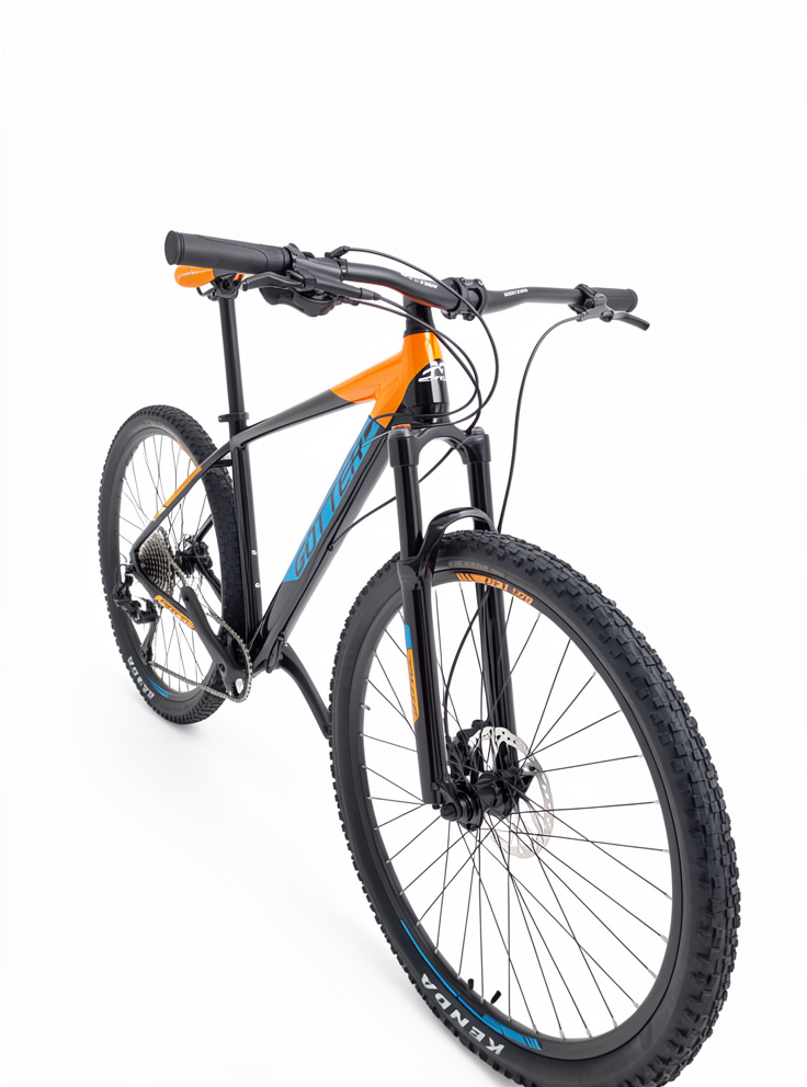 BICI DR: 29 MTB GOTTER MONOPLATO NEGRO