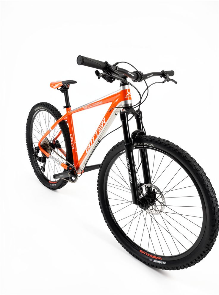 BICI DR: 29 MTB GOTTER MONOPLATO NARANJA