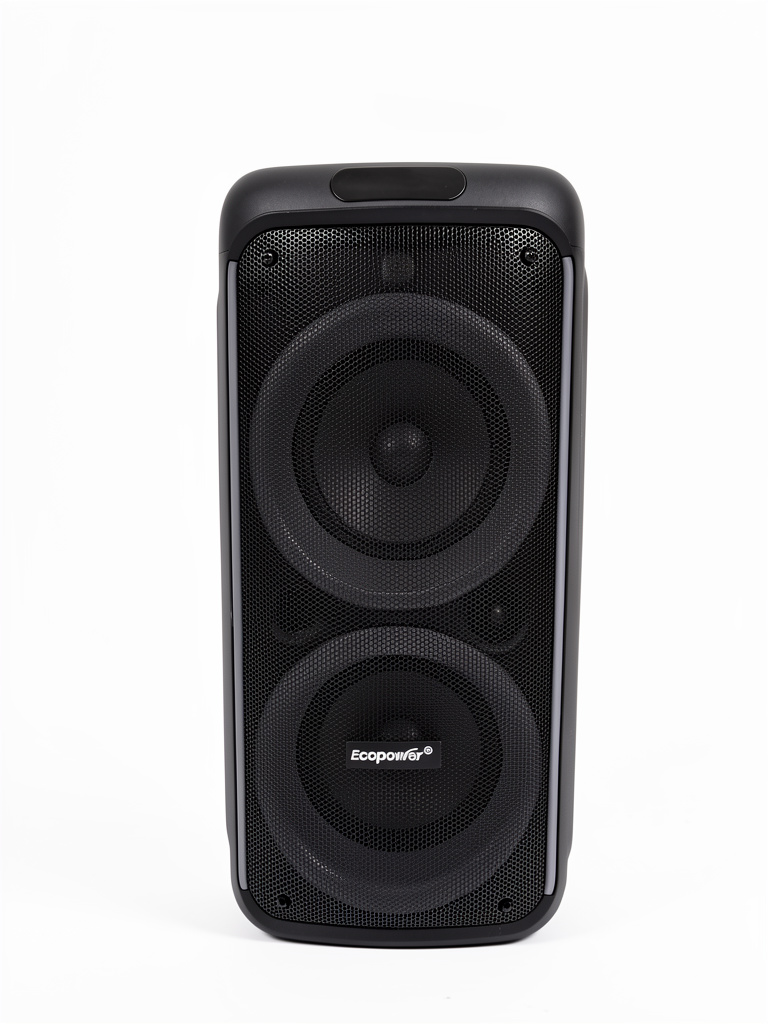 SPEAKER ECOPOWER EP-1966