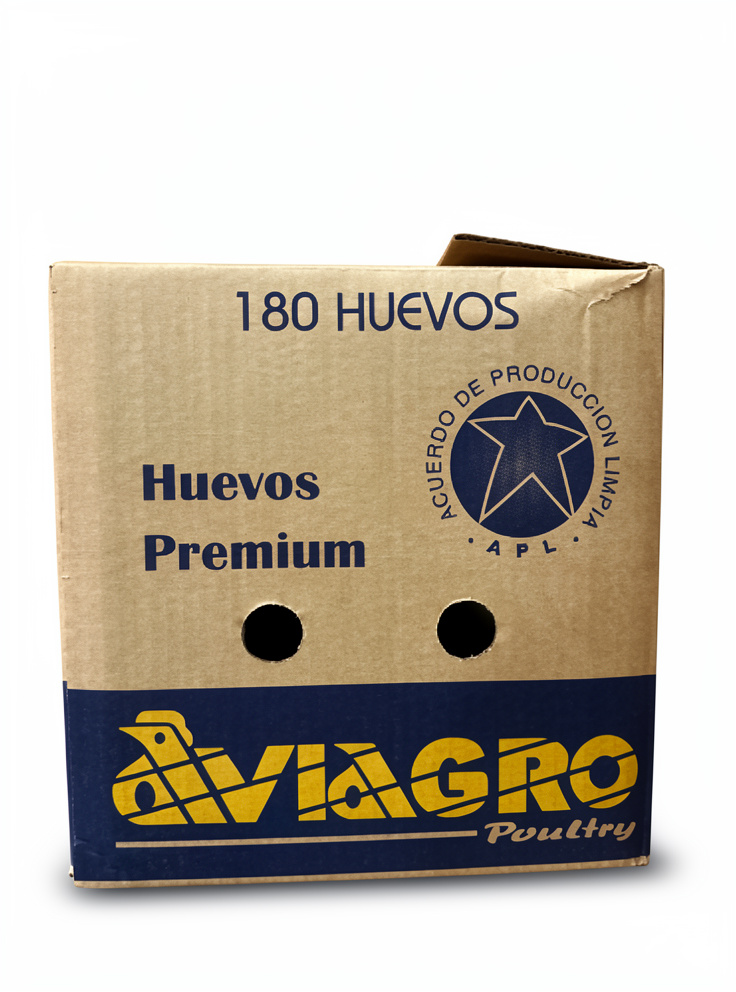 Caja Primera
