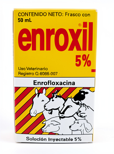 Enroxil (50 ml)