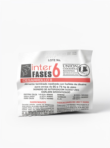 Fase 6 (40k)