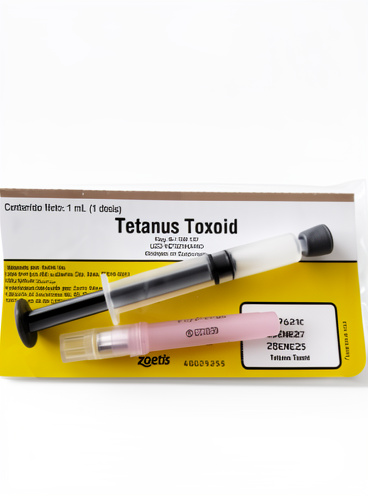 Tetanus "Caballo"