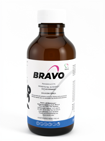 Bravo 100 ml