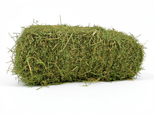 Paca De Alfalfa