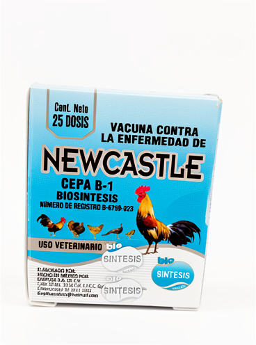 Newcastle (25 Dosis)