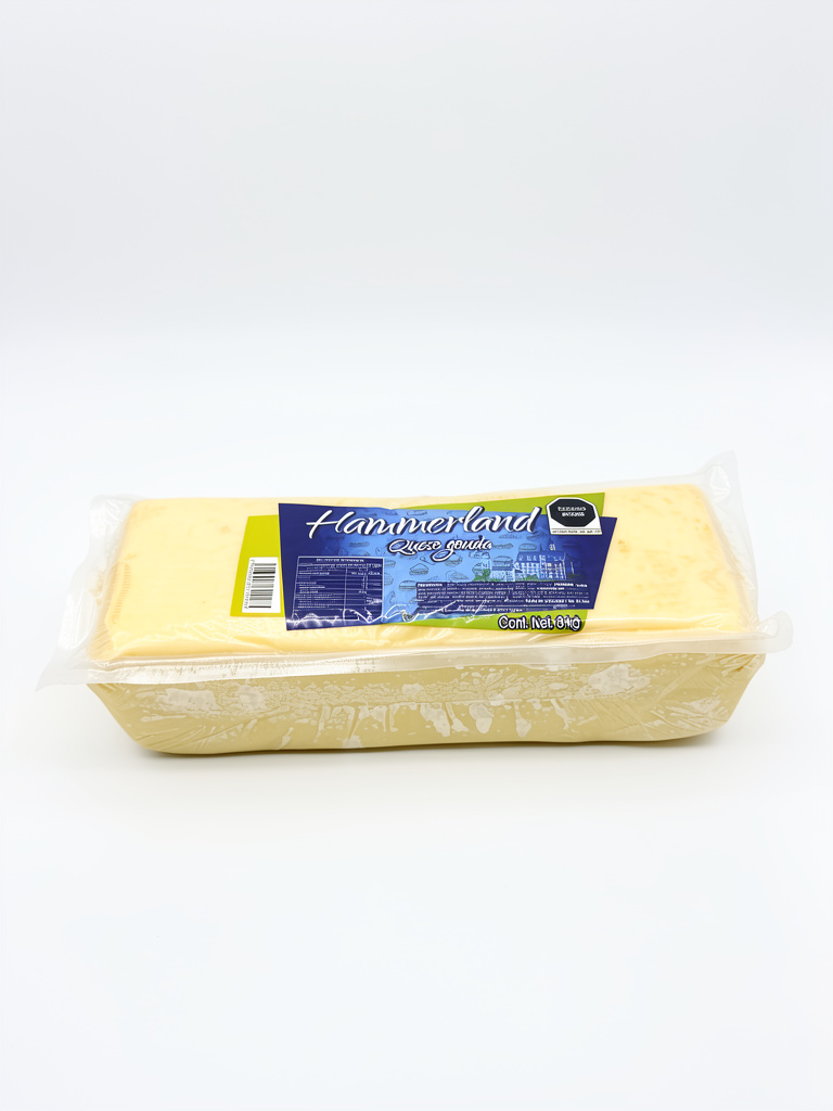 Queso gouda