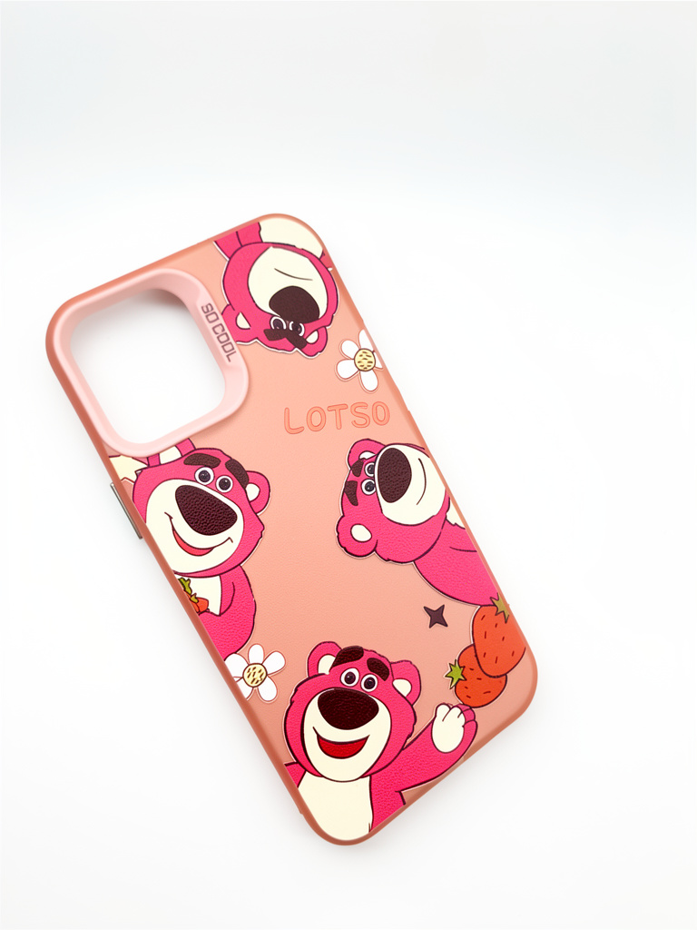 CASE 12 NORMAL / 12 PRO LOTSO 4