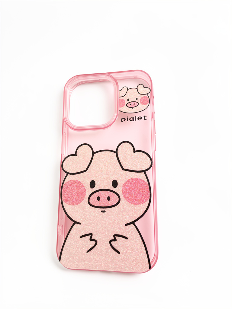 CASE 15 PRO CERDITO