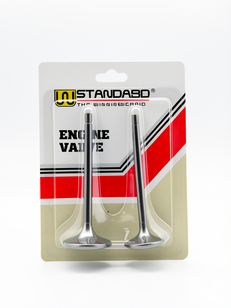VALVULAS MOTOR GXT250R WSTANDAR
