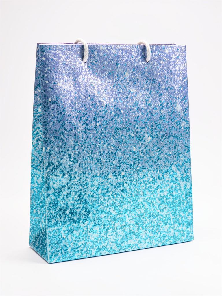 BOLSA BRILLANTE PEQUEÑA