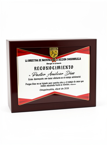 RECO 6x8 AZU/MADERA