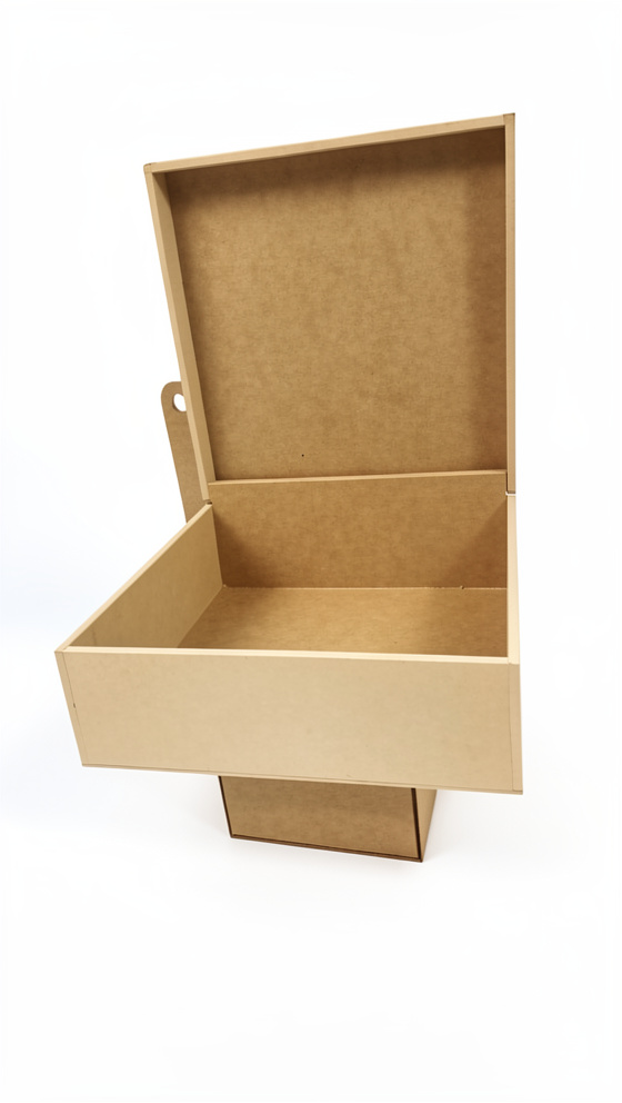 CAJA BISAGRA 25X25X10