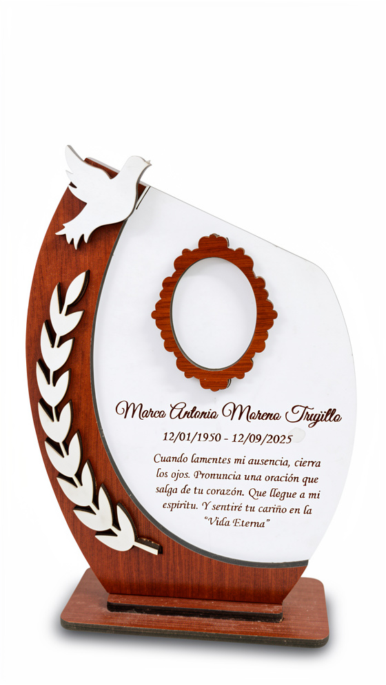 Placas