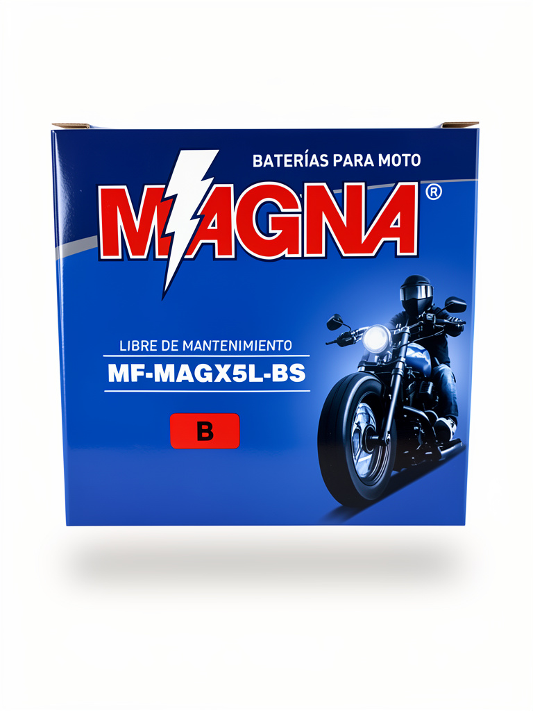 Bateria MAGNA BWS100