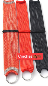 SINCHAS DE COLORES