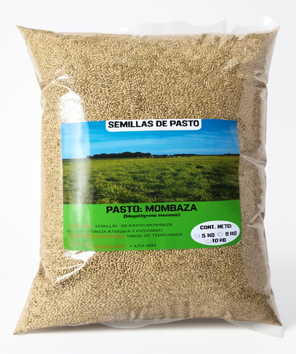 SEMILLA MOMBAZA