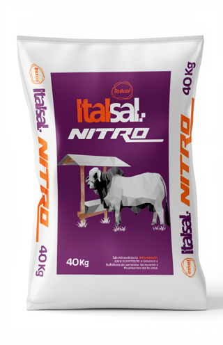 ITALSAL 22 KG