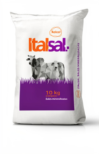 ITALSAL 10 KG