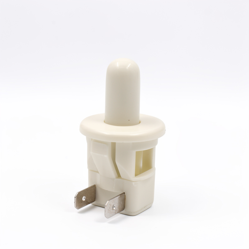 12716] INTERRUPTOR SIMPLE DE MOTOR VENTILADOR 2 PINES PUERTA REFRIGERADORA TODAS LAS MARCAS
