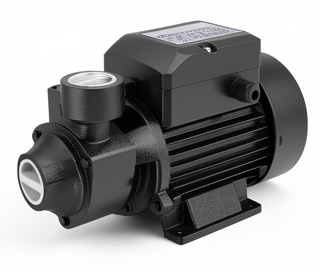 BOMBA DE AGUA DE 1/2HP PERIFÉRICA 110V ALTA GAMA 100% COBRE MARCA ROCCIA