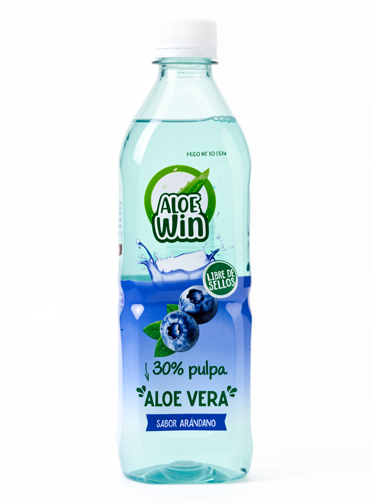 ALOE VERA ARANDANO WIN  6X500ML PACK