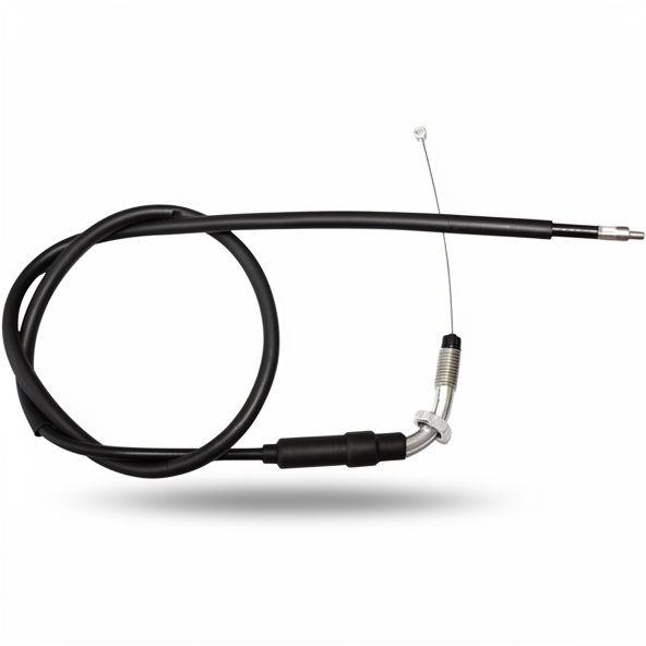 GUAYA ACELERADOR H CD100/EXPLENDOR-ECODELUXE