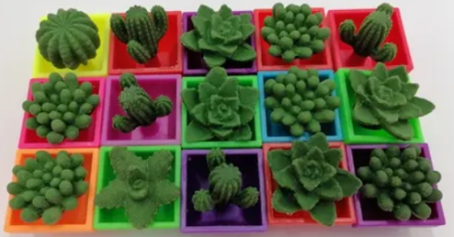 Cactus/suculentas bio gel
