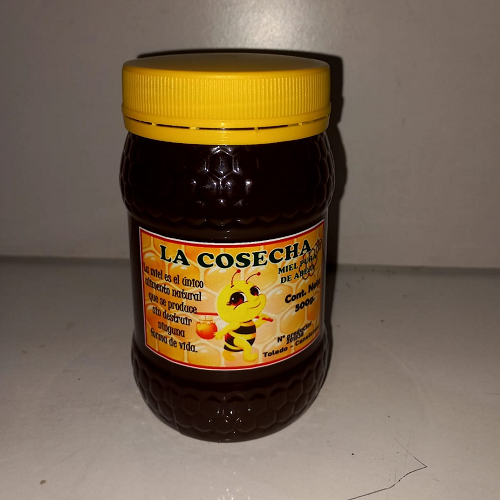 Frasco Miel Pura 500g