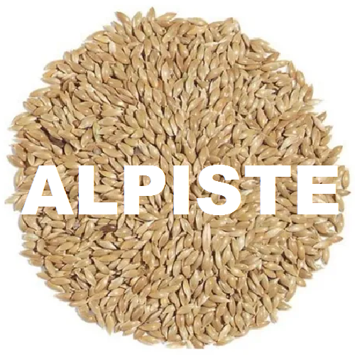Alpiste x Kg