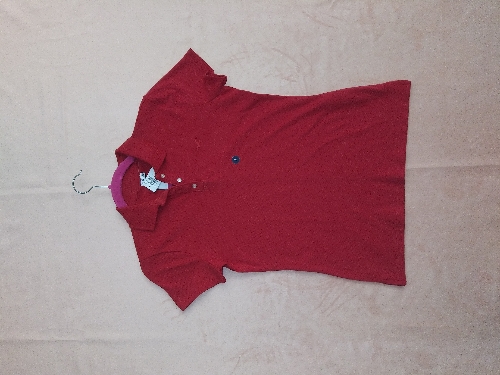 Sueter HOLLISTER