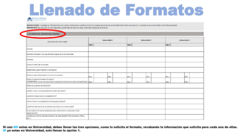 FORMATO LLENO S/IMPR