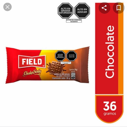 Galleta field choco soda 36g