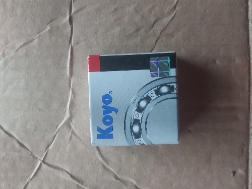 Ruliman 6203 (coyo)