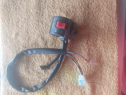 Cerebro derecho GN125 leixa