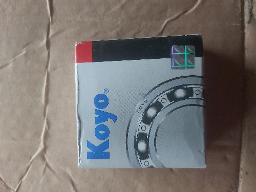 Ruliman 6204 (coyo)