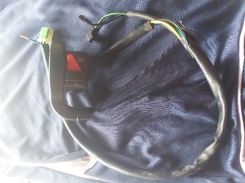 Cerebro derecho gy200 con base