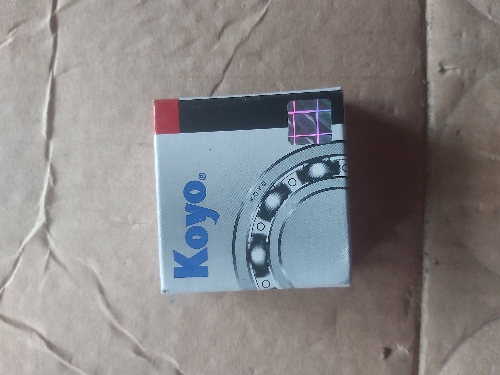 Ruliman 6300 (coyo)