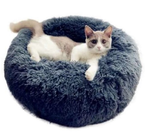 Cama Dona talla S