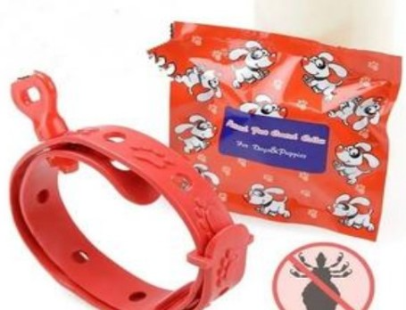 Collar Antipulga - Econocmica