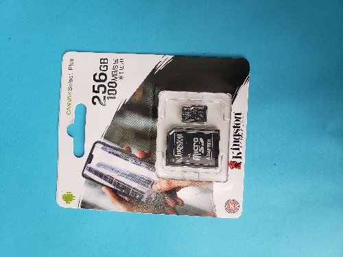 Memoria SD 256GB