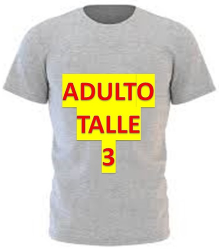 REMERA GRIS ADULTO MODAL TALLE 3